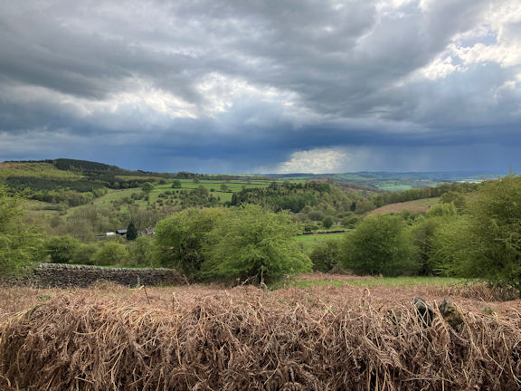 view
